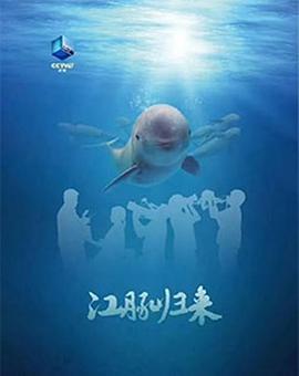 江豚归来的海报