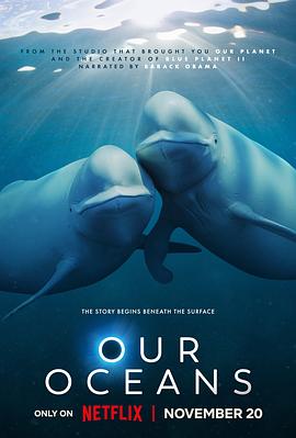 我们的海洋 Our Oceans的海报