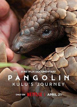 穿山甲Kulu的旅程 Pangolin: Kulu’s Journey的海报