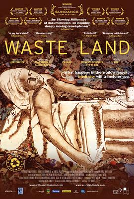 垃圾场 Waste Land的海报