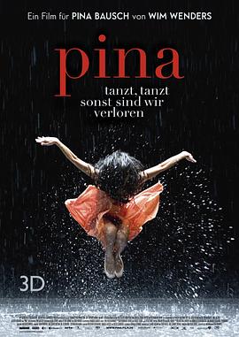 皮娜 Pina的海报