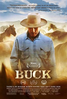 巴克 Buck的海报