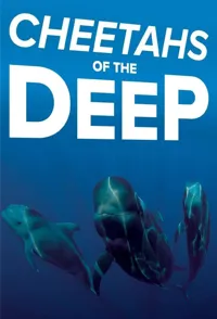 深海猎豹 Cheetahs of the Deep