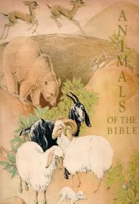 圣经中的动物 Animals Of The Bible