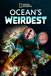 海洋异物志 Ocean's Weirdest