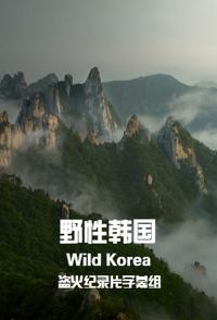野性韩国 Wild Korea