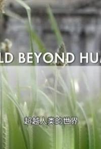 超越人类的世界 A World Beyond Humans