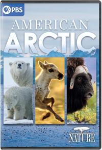 美国北极 American Arctic