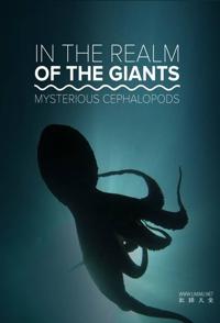 巨人的领域：神秘的头足类动物 In the Realm of the Giants: Mysterious Cephalopods