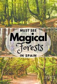西班牙的神奇森林 The Magic Forest of Spain