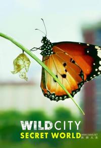 野生城市：秘密世界 Wild City: Secret World