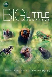小动物的生命奇迹 Big Little Journeys