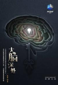 大脑深处