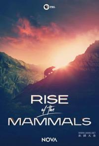 哺乳动物的崛起 Rise of the Mammals