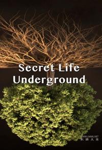 地下的隐秘生命 Secret Life Underground