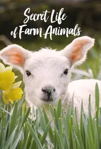 农场动物的秘密生活 第一季 Secret Life of Farm Animals Season 1