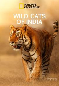 印度狂野大猫 Wild Cats of India