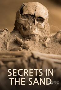 沙中的秘密 Secrets in the Sand