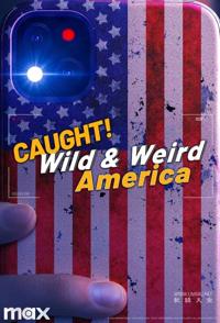 美国见怪不怪 Wild & Weird America