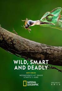 荒野、智慧与致命杀机 Wild, Smart, and Deadly