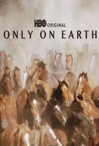 他马的火烧了地球 Only on Earth