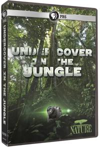 解密亚马逊丛林 Undercover in the Jungle