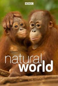 自然世界 第1-7季全42集 Natural World