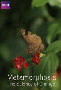 变态的科学/变态：形变的科学 Metamorphosis: The Science of Change 2013