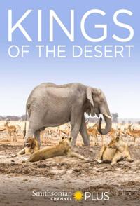 沙漠之王 Kings of the Desert