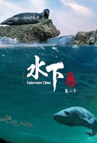 水下中国 第2季 全6集 Underwater China 2023