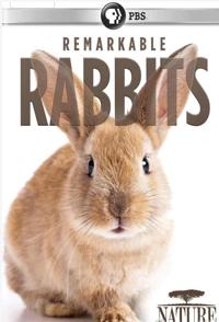 非凡的兔子/了不起的兔子 Remarkable Rabbits 2020