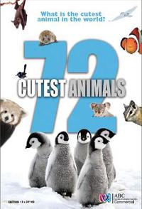 72大可爱动物 72 Cutest Animals