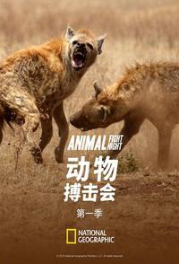 动物搏击会 第一季 Animal Fight Night Season 1