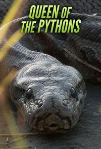 武则素珍 Queen of the Pythons